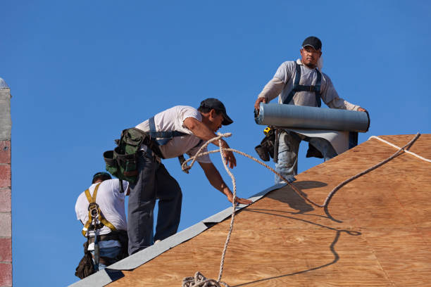 Best Roof Repair Services  in Burley, WA