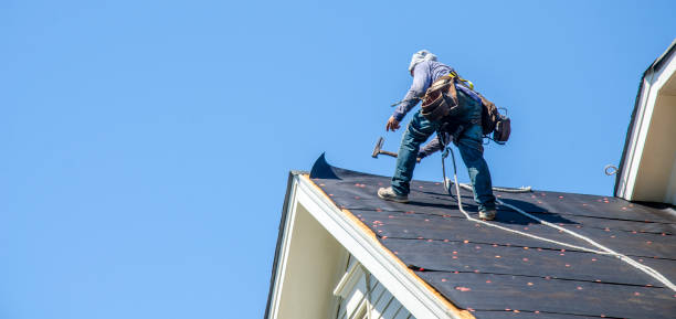 Best Gutter Installation and Roofing  in Burley, WA